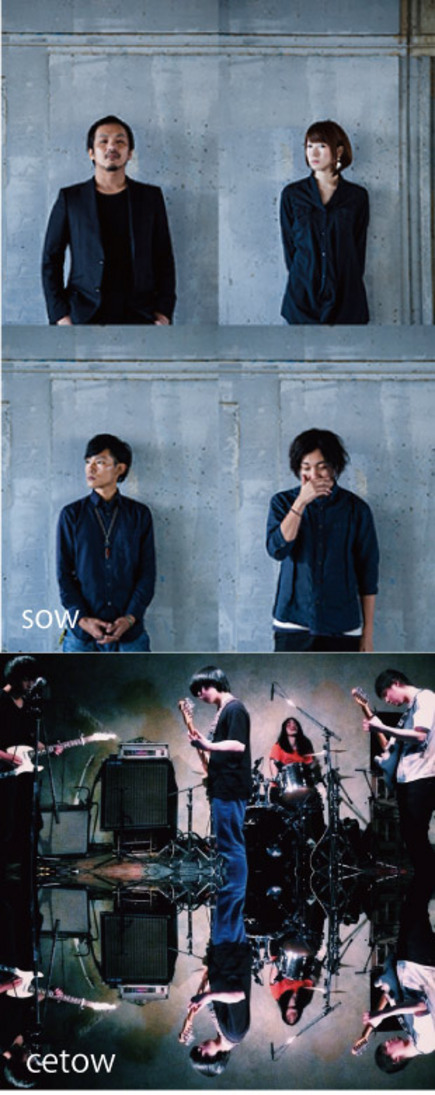 sow × cetow共同企画 