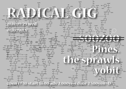 ”Radical GIG